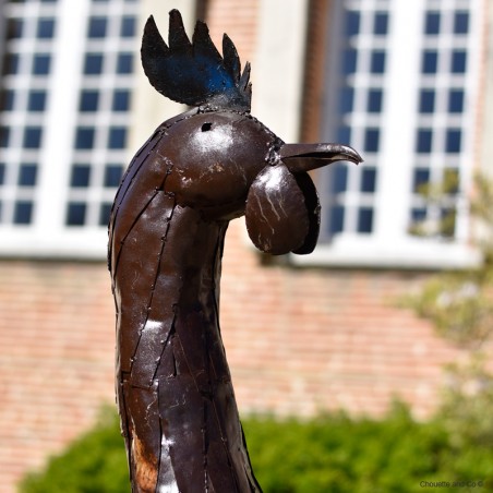 Coq naturel XXL