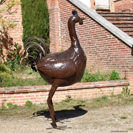 Coq naturel XXL