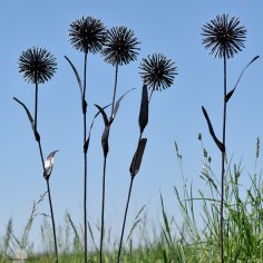 Fleur d'ail sur tuteur