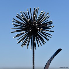 Fleur d'ail sur tuteur 2