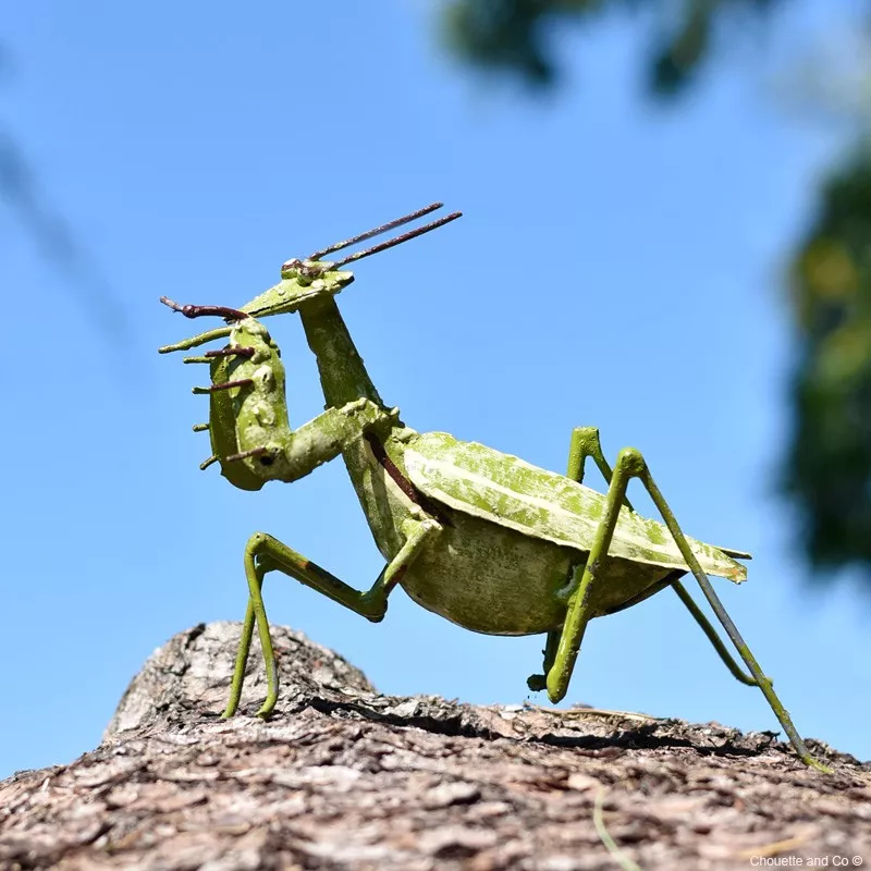 Mante religieuse peinte