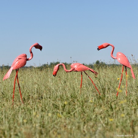 Flamant rose peint