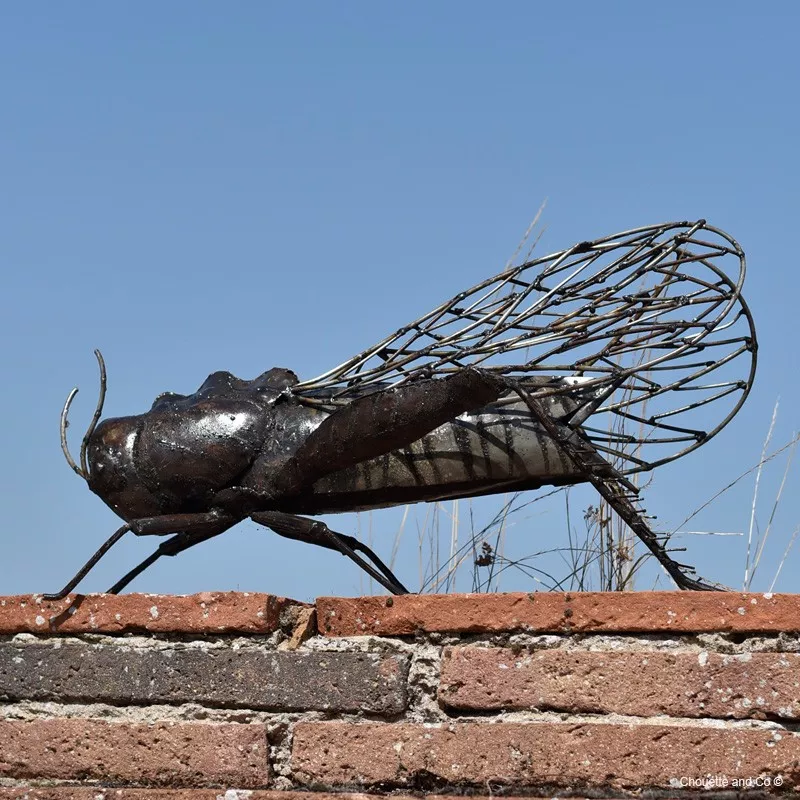 Sauterelle xl naturelle