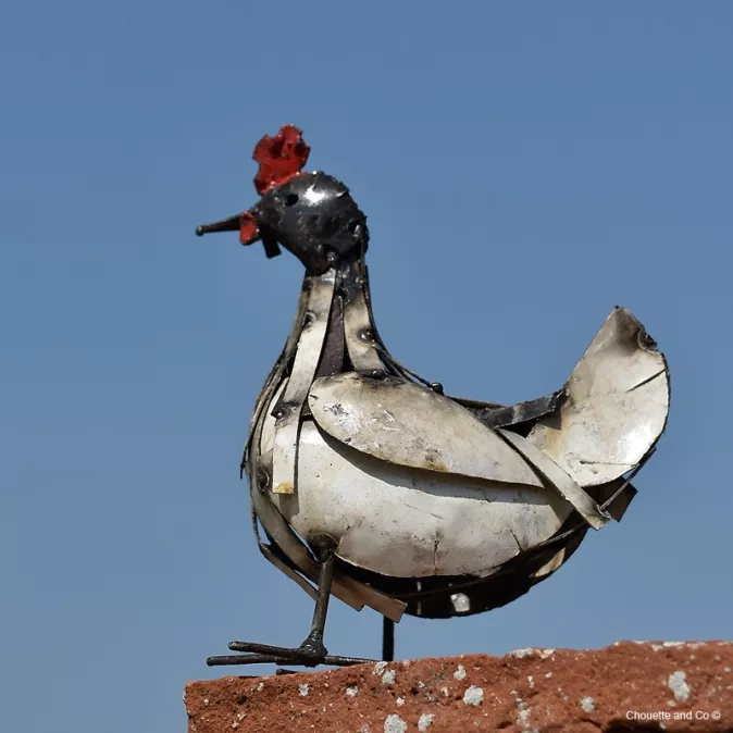 Poule lamelles blanches petit modèle