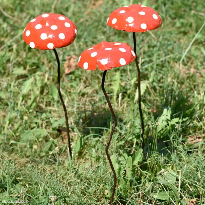 Champignon amanite tuteur
