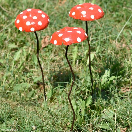 Champignon amanite tuteur