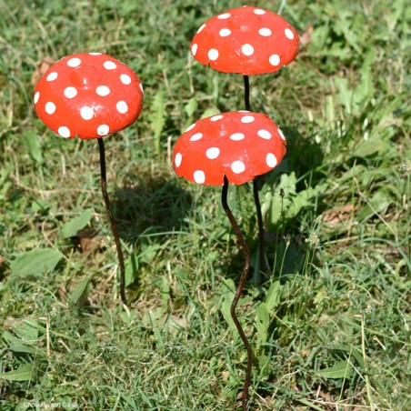 Champignon amanite tuteur