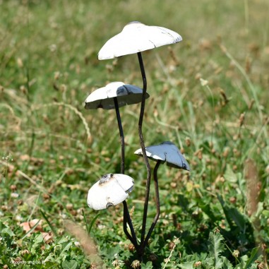 Quatre champignons blancs