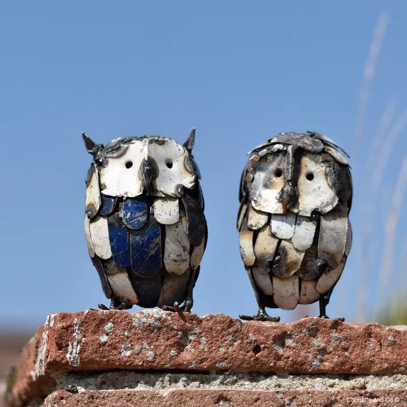 Chouette lamelle couleur mini