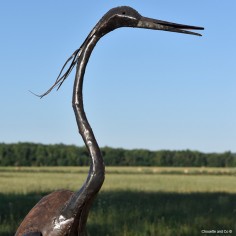 Héron naturel lisse 2