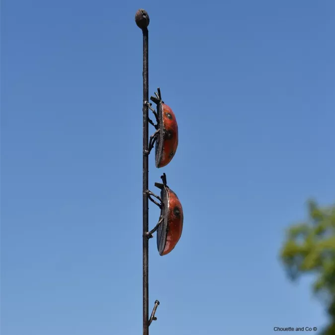 Coccinelles couleur fût sur tuteur
