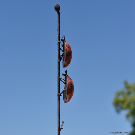 Coccinelles couleur fût sur tuteur