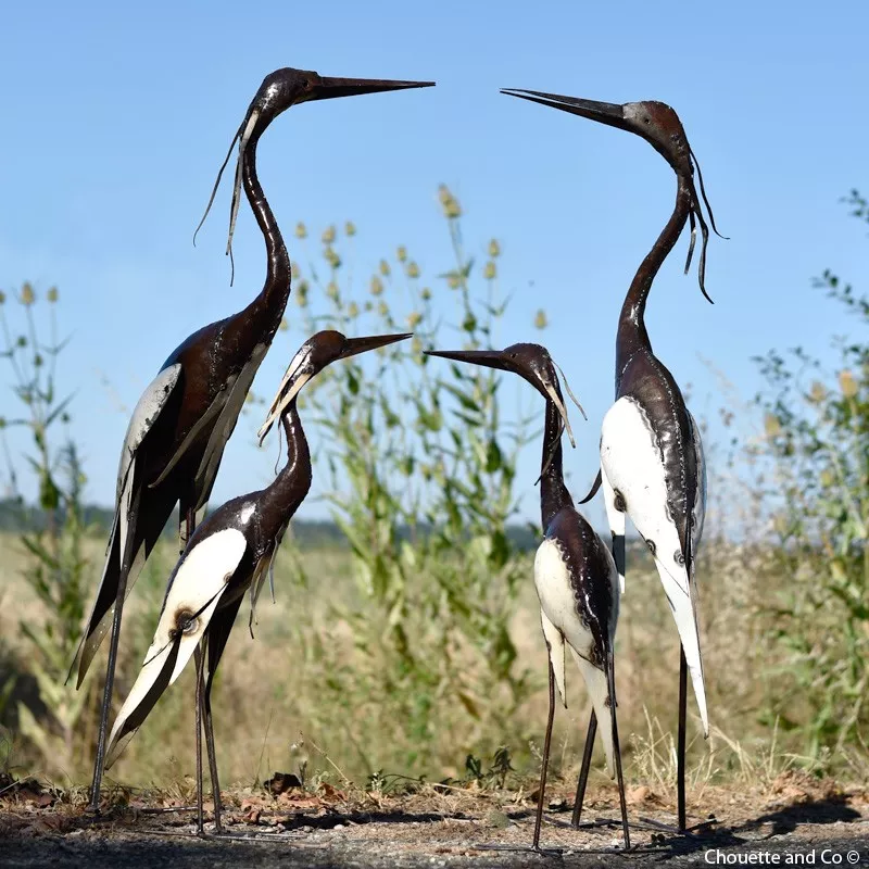 Hérons blancs PM et MM