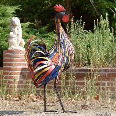 Coq lamelles fines  couleur