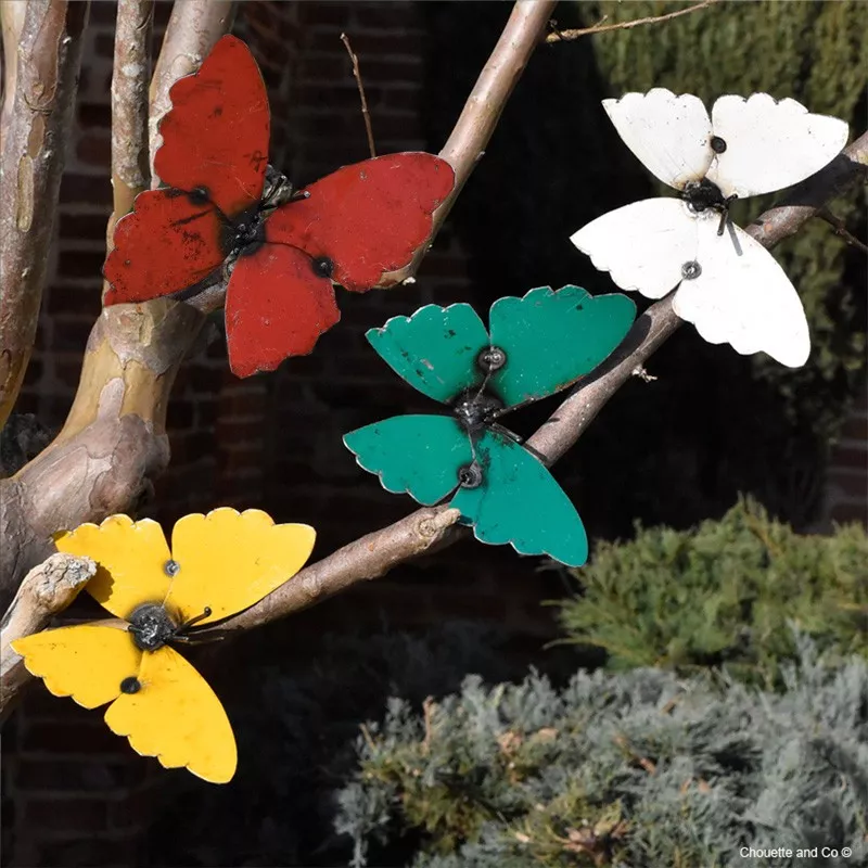 Papillon Farfalle fût