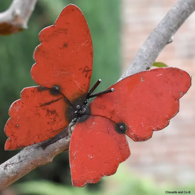 Papillon Farfalle fût