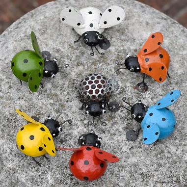 Coccinelle ailes ouvertes
