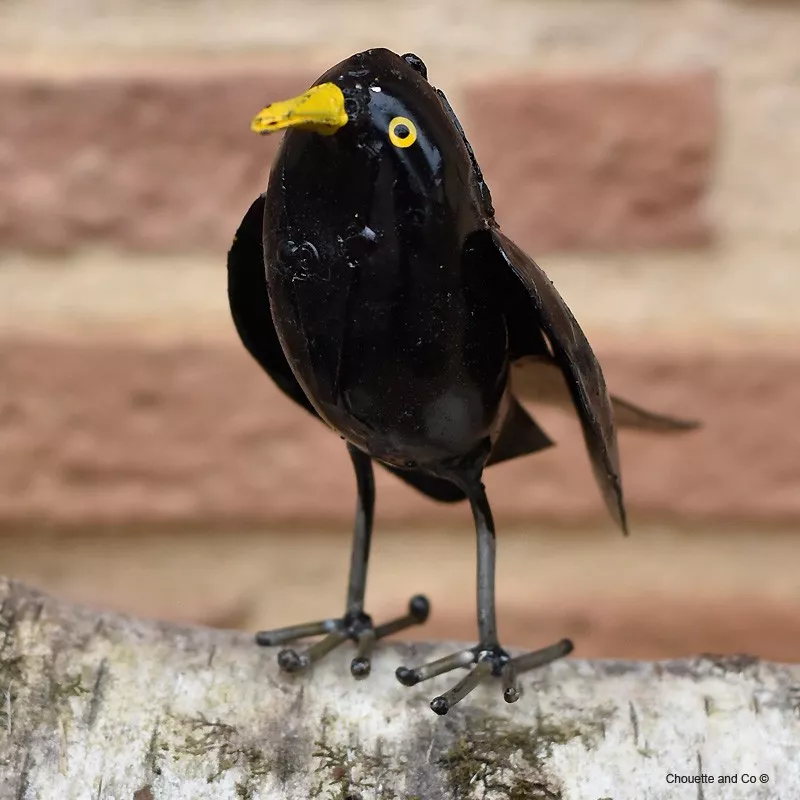 guépier  ailes ouvertes