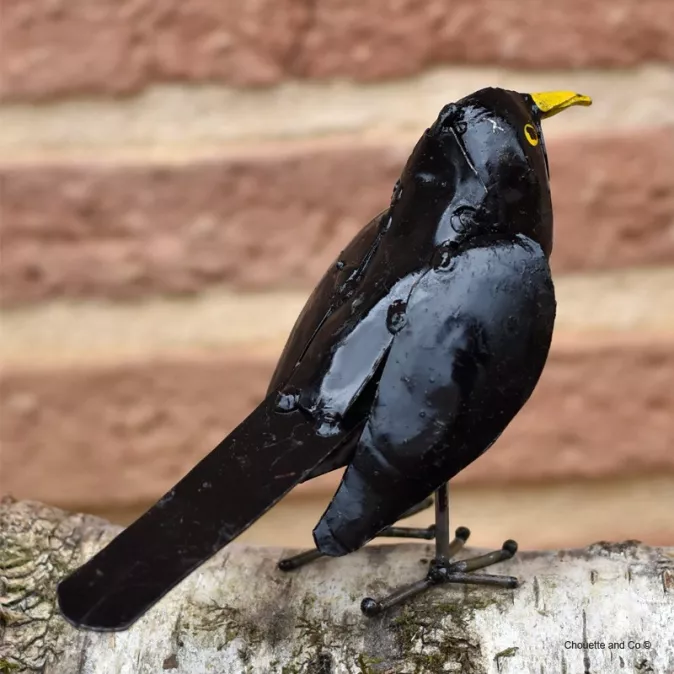 guépier  ailes ouvertes