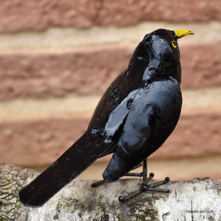 guépier  ailes ouvertes