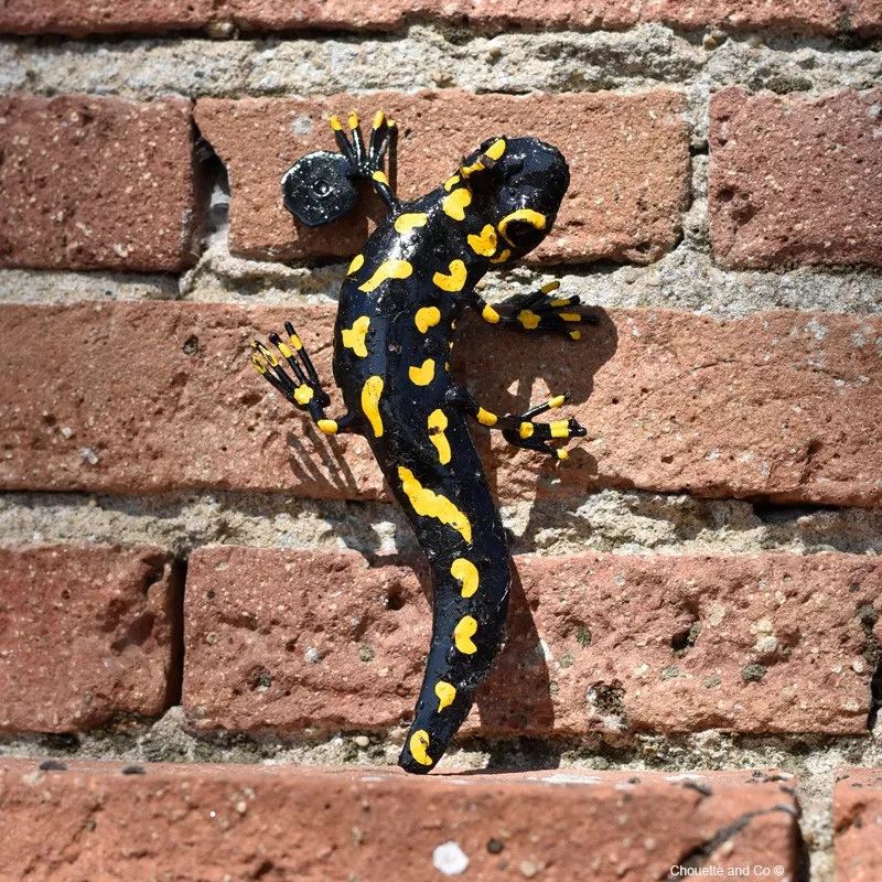 Salamandre tachetée