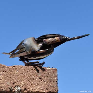 Oiseau couverts