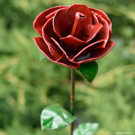 rose rouge