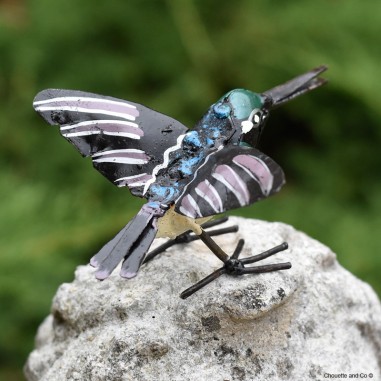 Colibri Inca