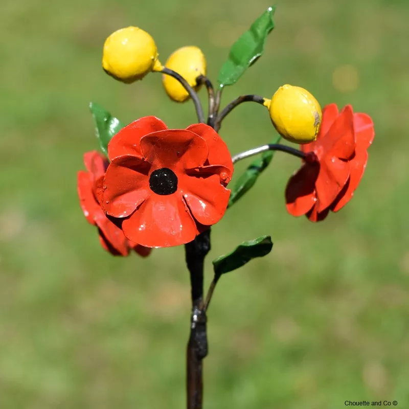 Bouquet fleurs de pavot