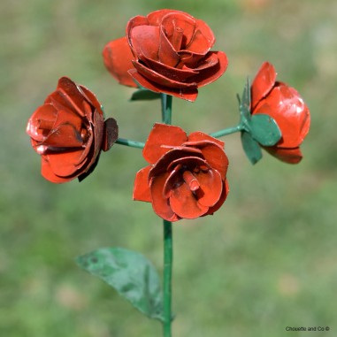 Bouquet de roses
