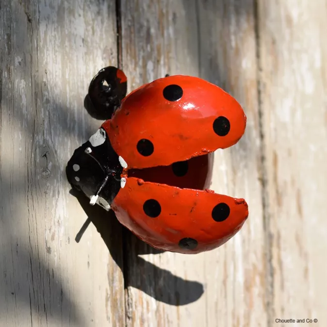 Coccinelle rouge ailes ouvertes