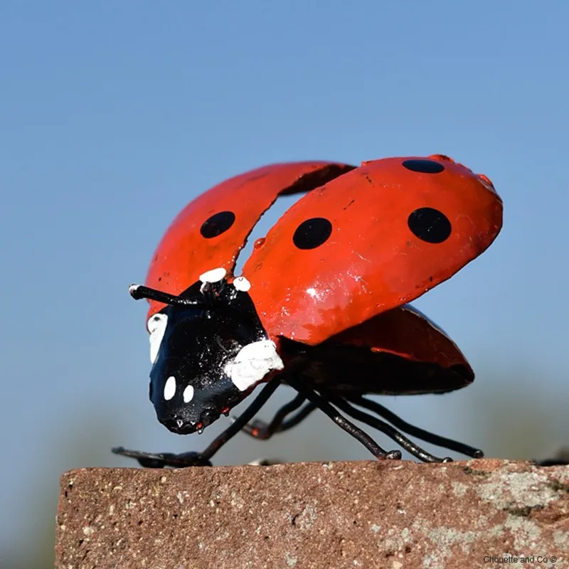 Coccinelle rouge ailes ouvertes