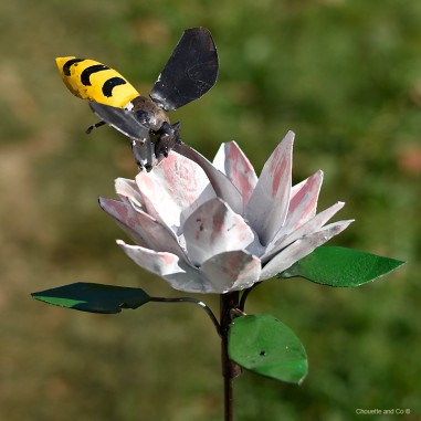 Fleurs Protéa et abeille