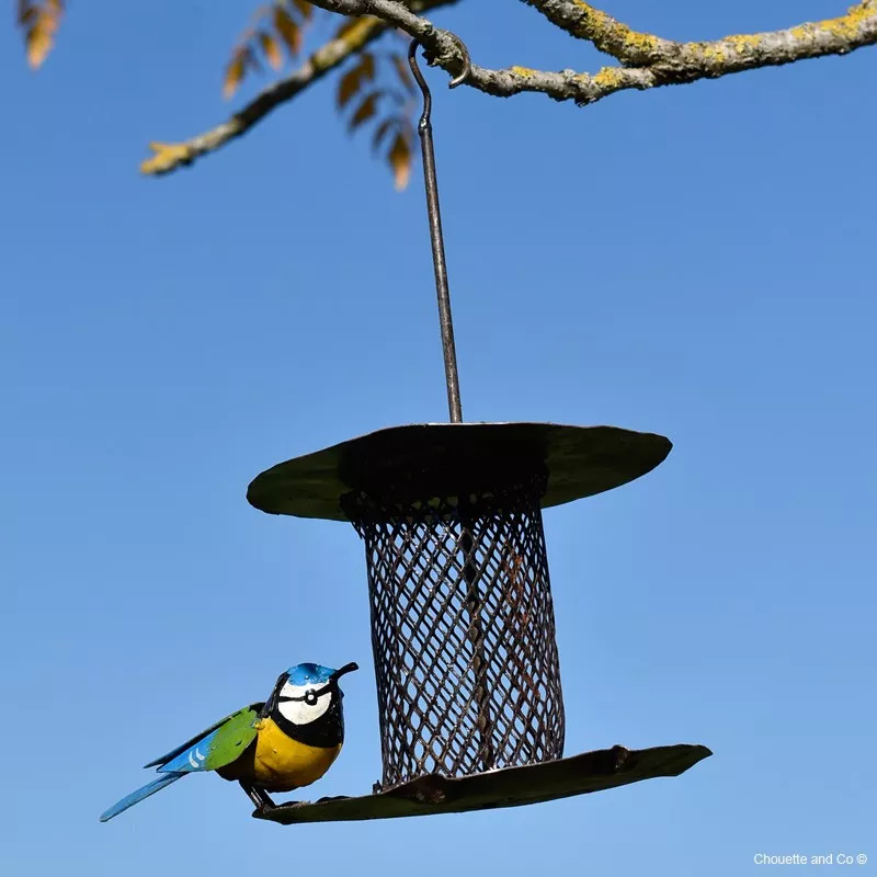 Distributeur de graine filtre une mésange