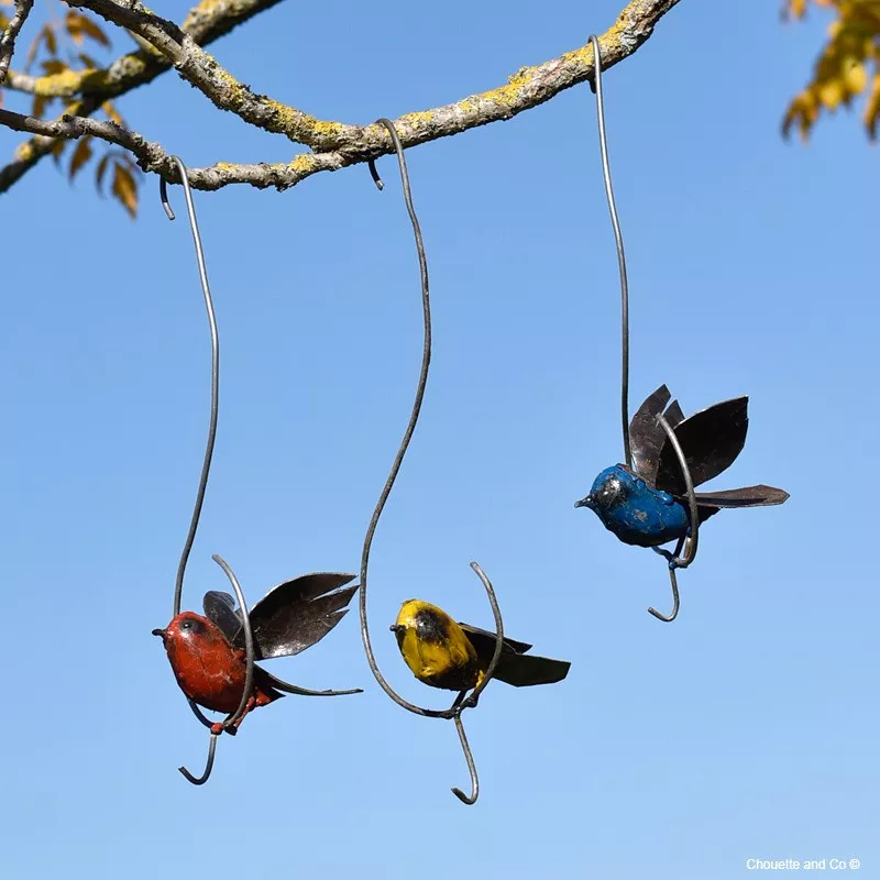 Oiseau couleur sur fil et crochet