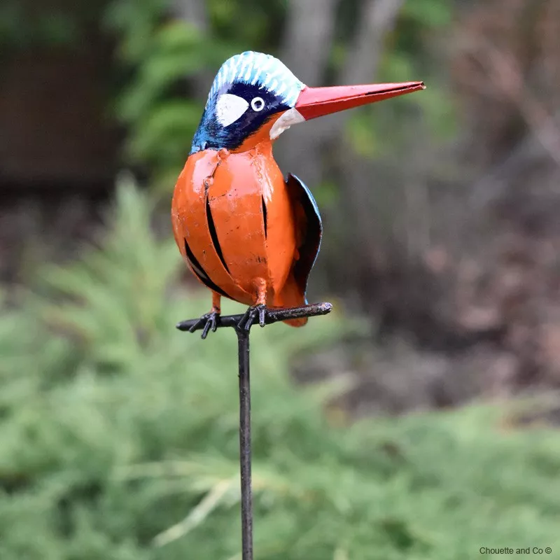 Martin pêcheur moyen modèle sur tuteur