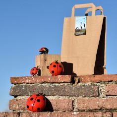 Box de Noël coccinelle