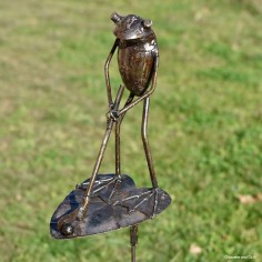 Grenouille sur tuteur