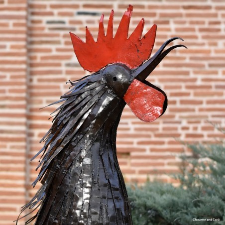 Coq plumes naturelles XL