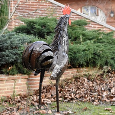Coq plumes naturelles XL