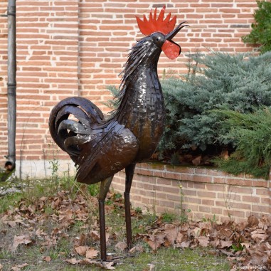 Coq plumes naturelles XL