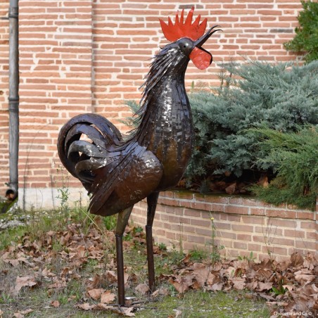 Coq plumes naturelles XL