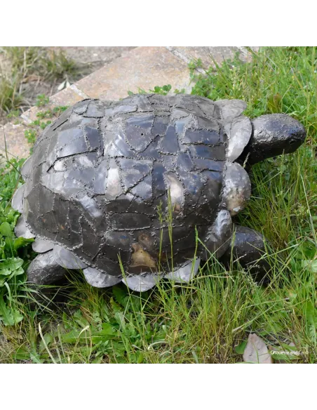 Tortue naturelle XL
