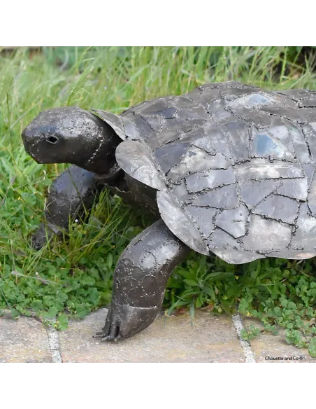 Tortue naturelle XL