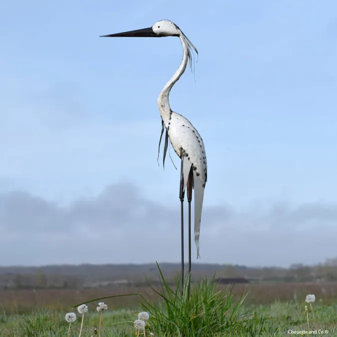 Héron tout blanc lisse