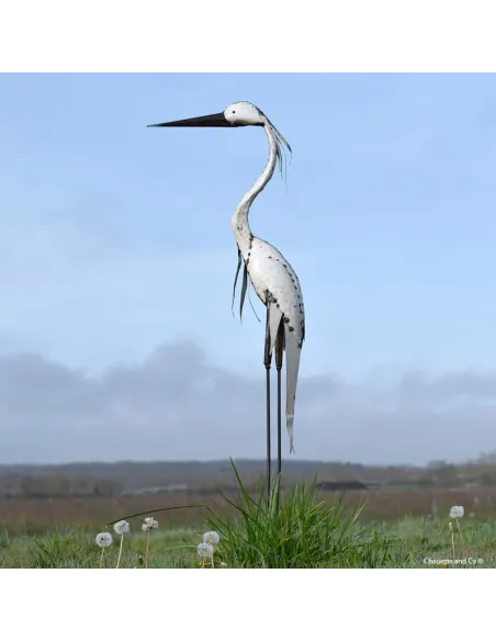 Héron tout blanc lisse