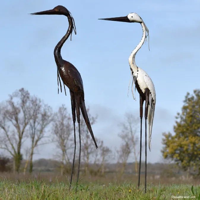 Héron tout blanc lisse