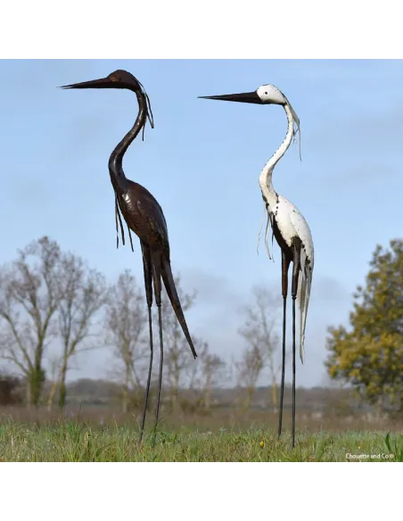 Héron tout blanc lisse