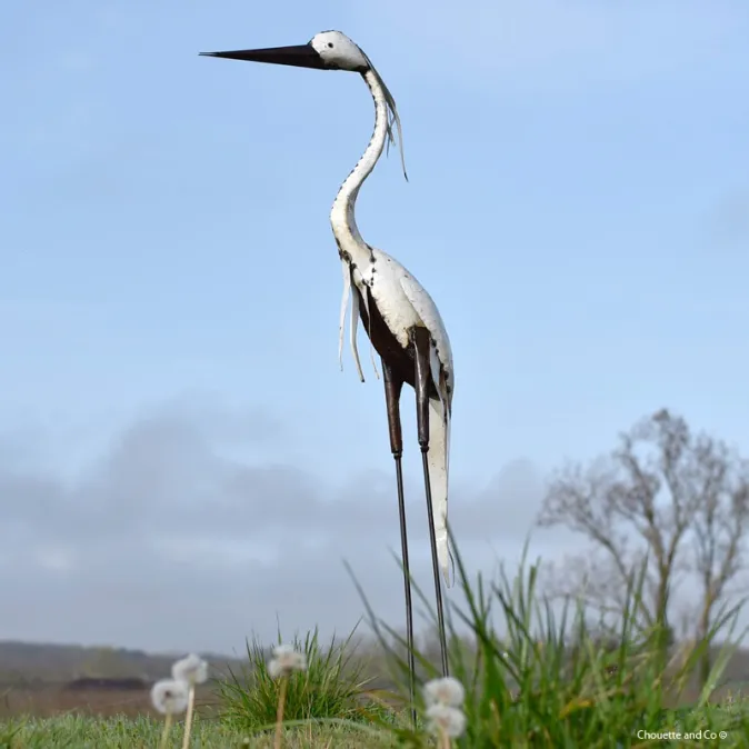 Héron tout blanc lisse