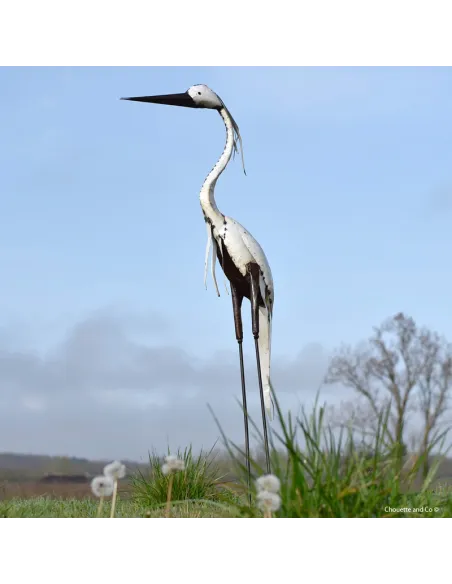 Héron tout blanc lisse